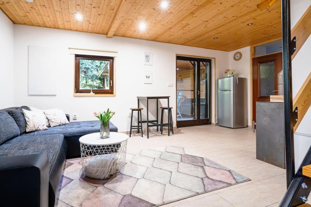 Chata u rybníka - B&B Druztová