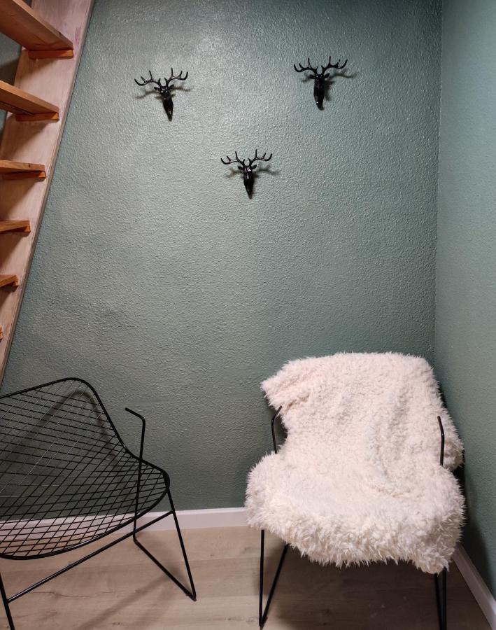 Studios cosy au pied des pistes - B&B