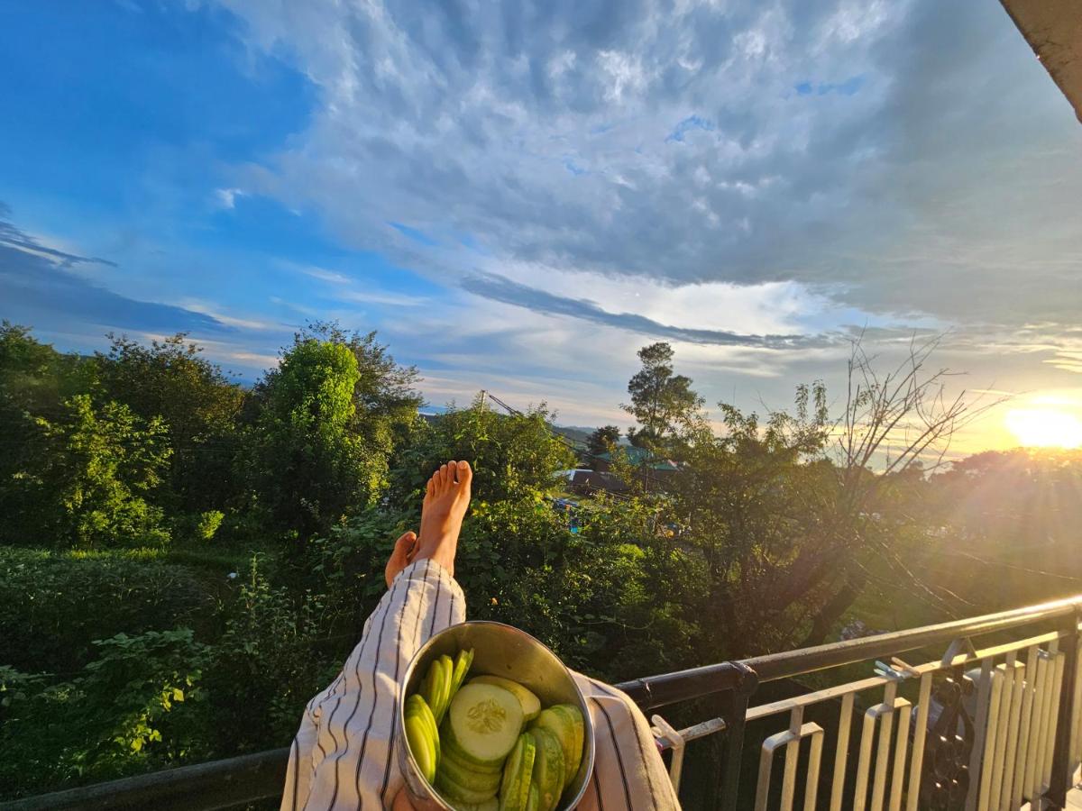 Dadi Homestay 360 Mountain View - B&B