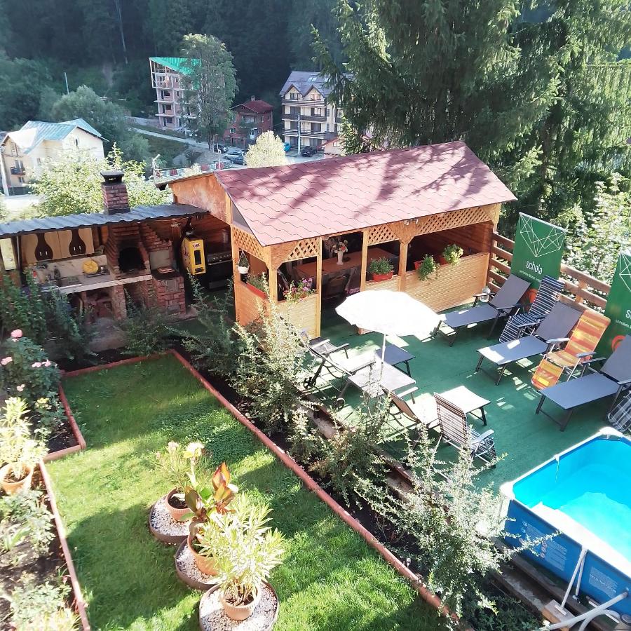 Casa Nicolas Busteni - B&B Buşteni