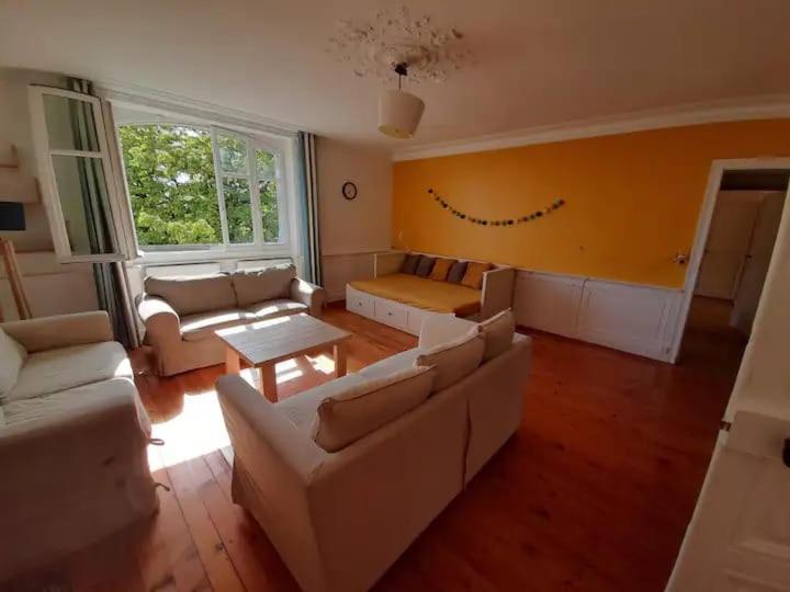 Grand appartement entre le château et la Cathédrale - Ferienwohnung
