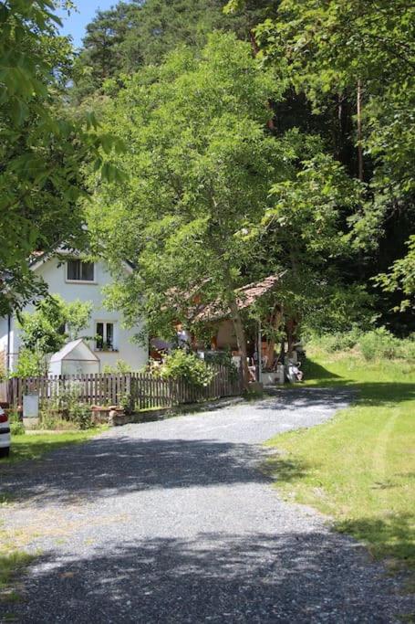 Idyllisches Haus mit Garten und Saunahütte in der Natur - Bed and Breakfast