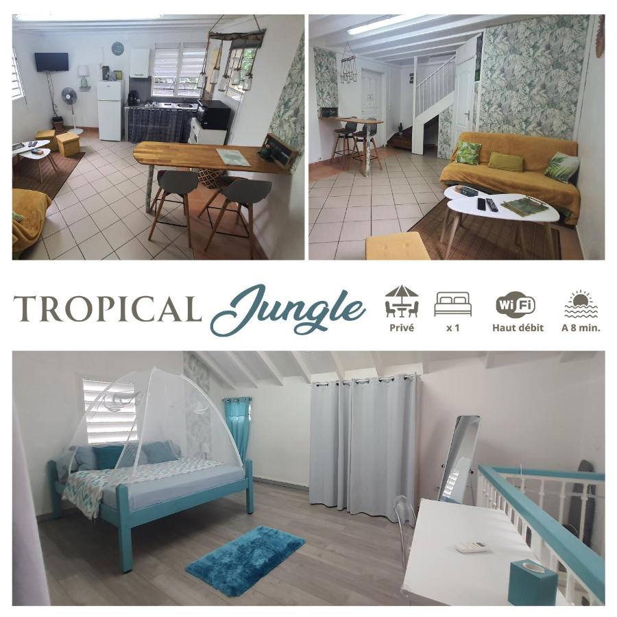 Duplex Tropical Jungle - Chambres d’hôtes Le Gosier