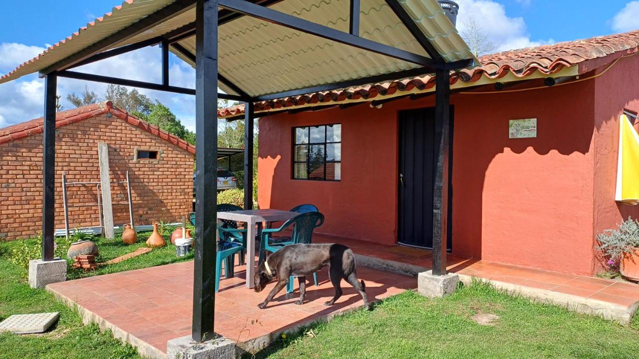 Mano de Oso Guasca son 3 hospedajes diversos en la ruralidad - B&B