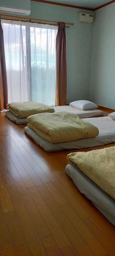 Single Bed in 4-Bed Dormitory Room