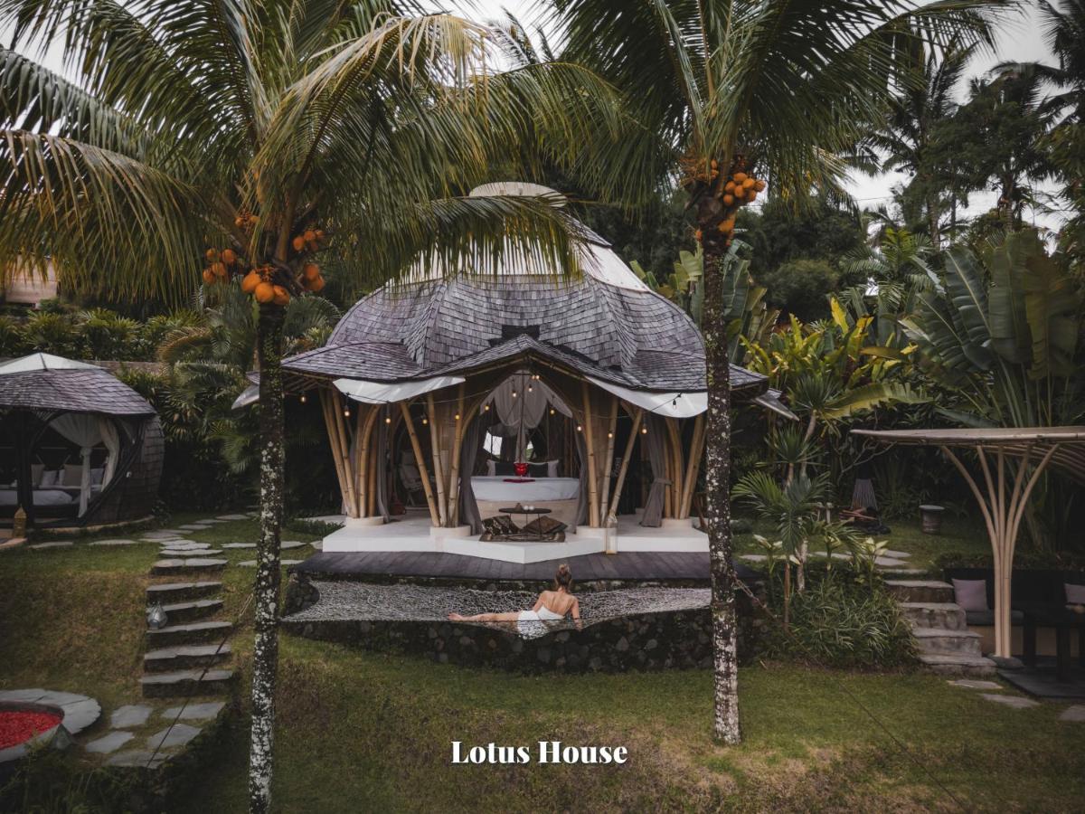 Two bedroom villa Lotus