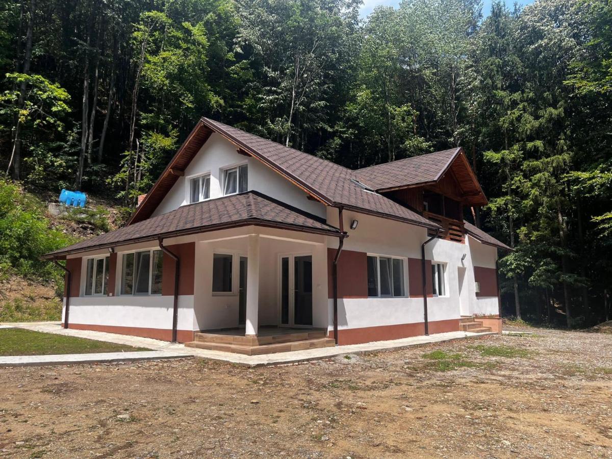 Cabana Cascada Lotrisor - B&B