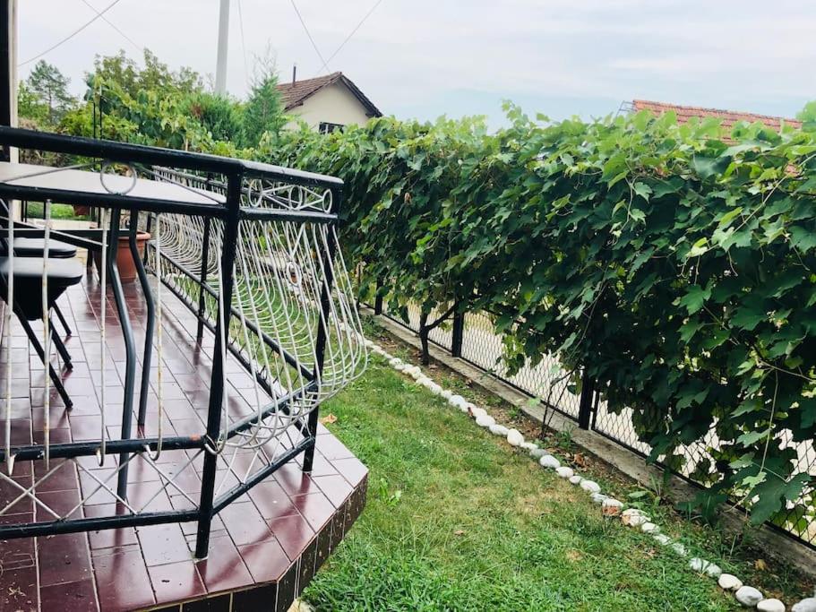 Apartma Laganini - B&B Bosiljevo