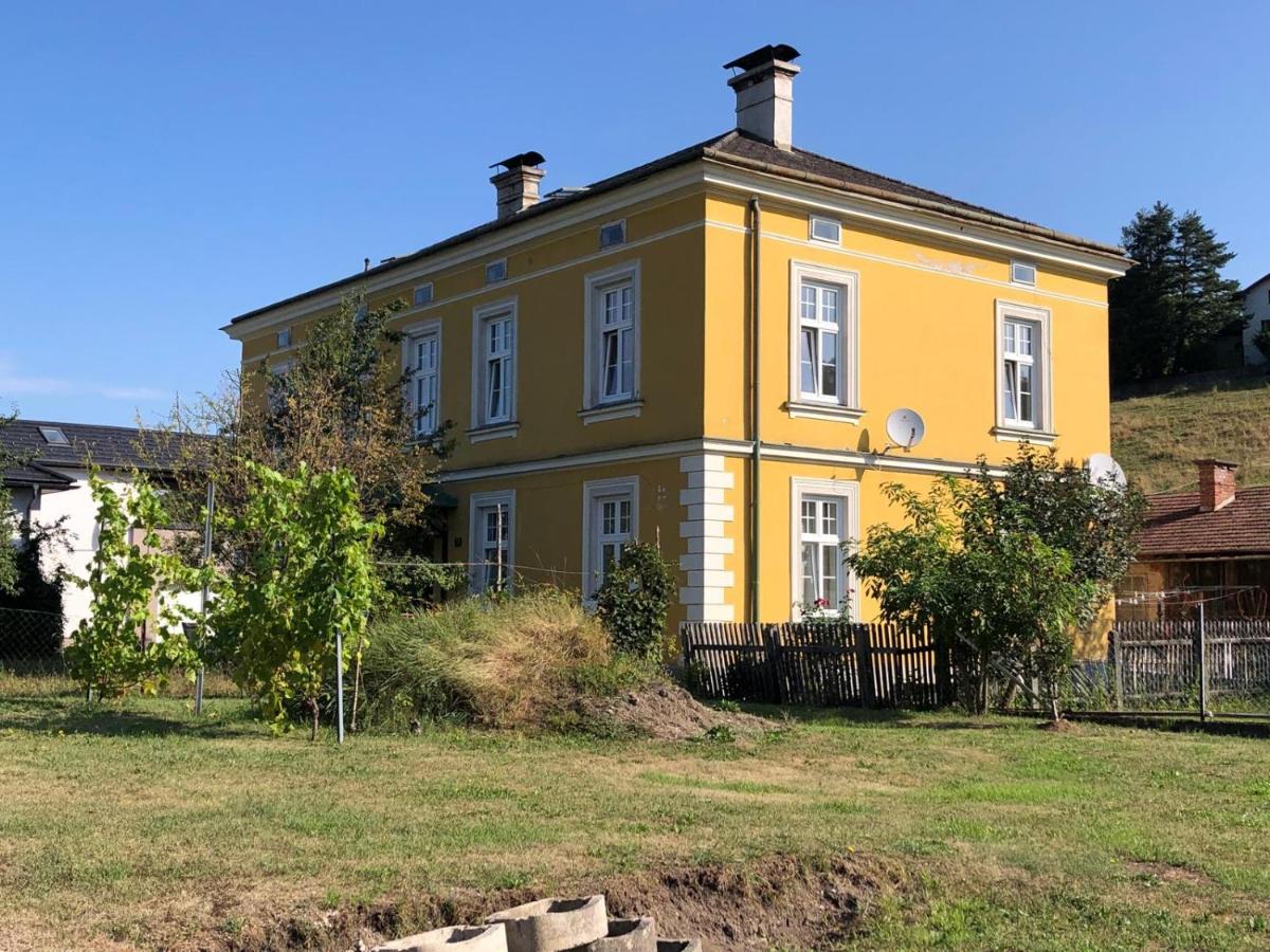 Löwenzahn2 - B&B