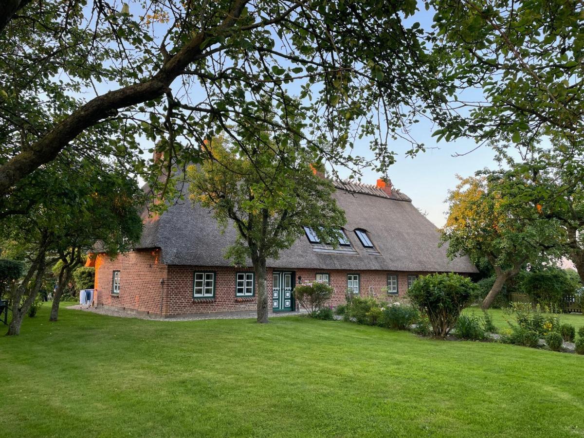 Ferienwohnung Kuhstall Hasselberg - B&B