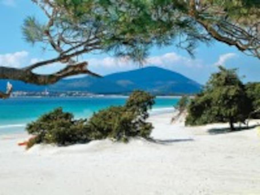 Appartamento con piscina fronte spiaggia del Lido - Chambres d’hôtes Alghero
