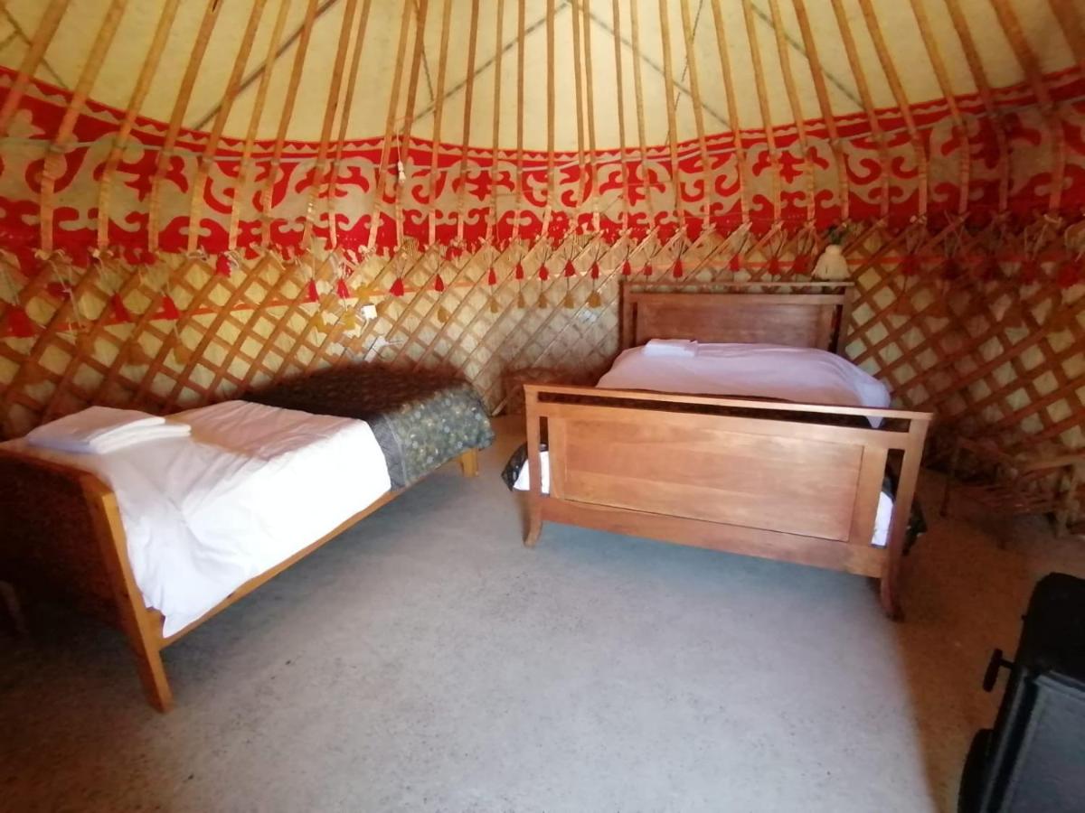 Tent