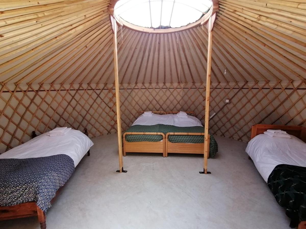 Tent