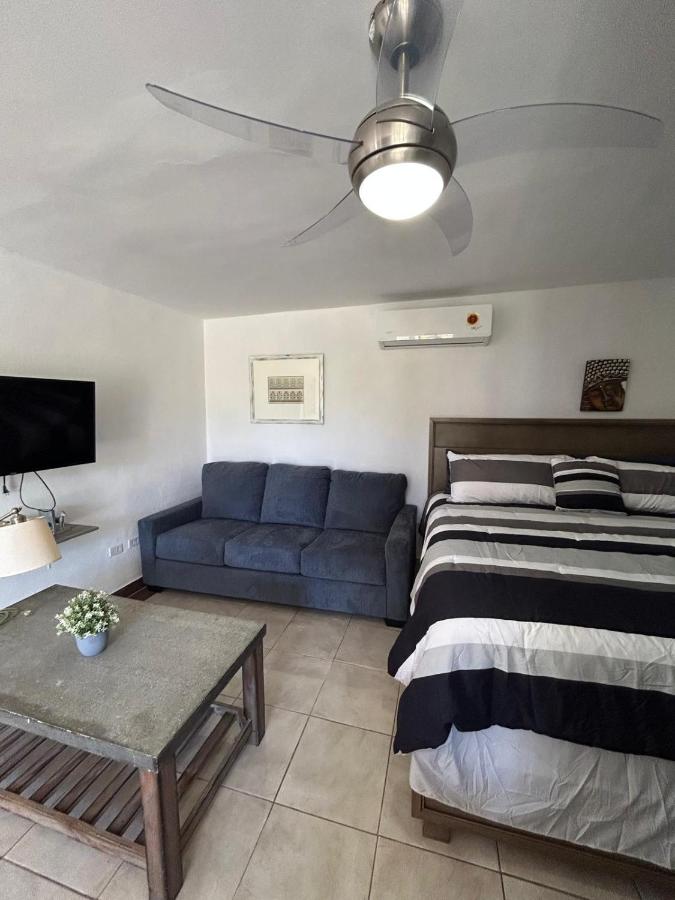 Appartement 1 Chambre
