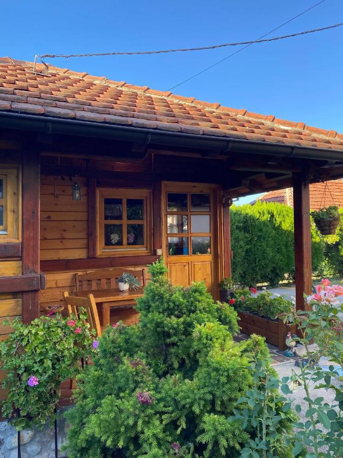 Flowers Cabin - B&B Valjevo