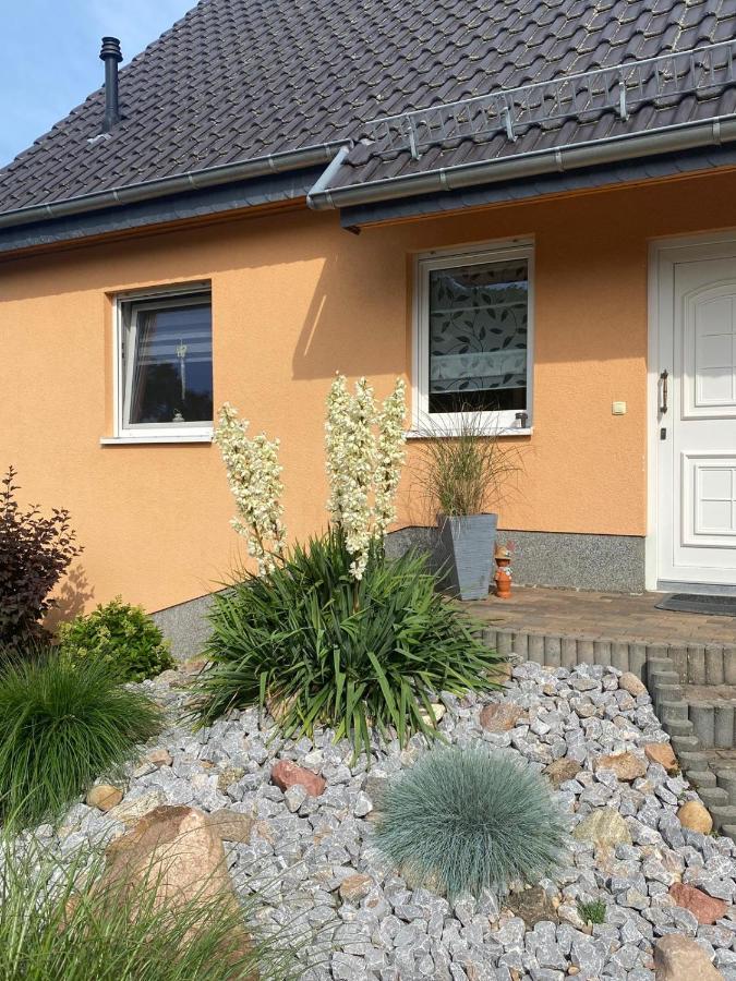 Oase der Ruhe 2 - B&B Waldsieversdorf