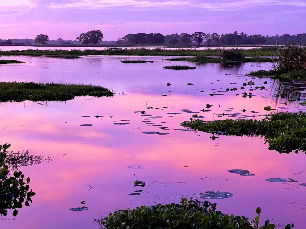 Family Room with Lake View