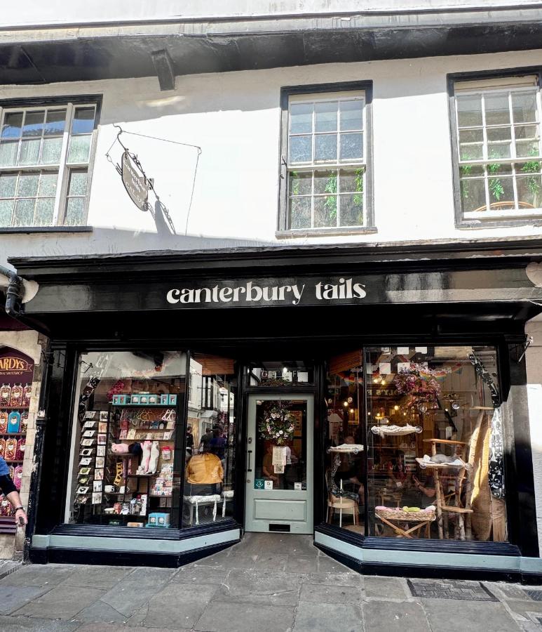 Canterbury HOMESTAY Ensuite - B&B