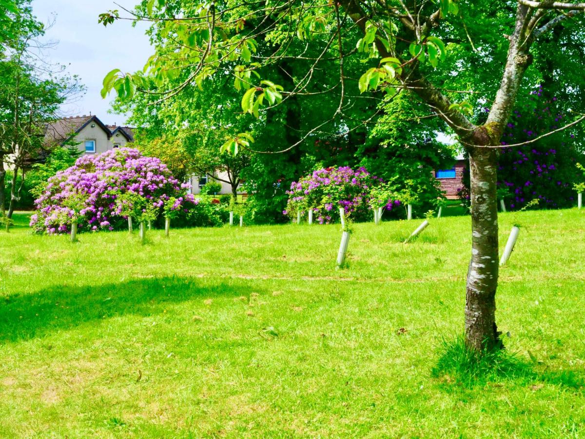 Cunninghame 4 - Bed and Breakfast