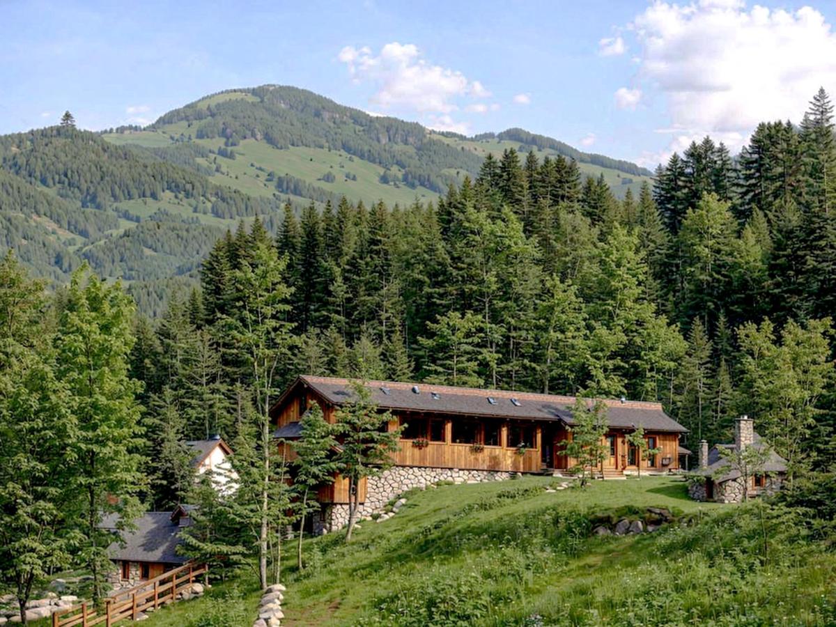 Cabana Taul Brazilor - Ferienwohnung