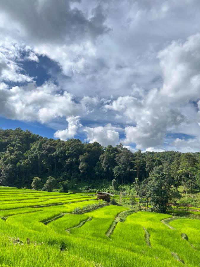 Chibacall ชิบะคอล Chiang Mai hideaway Homestay - Chambres d’hôtes Chiang Mai