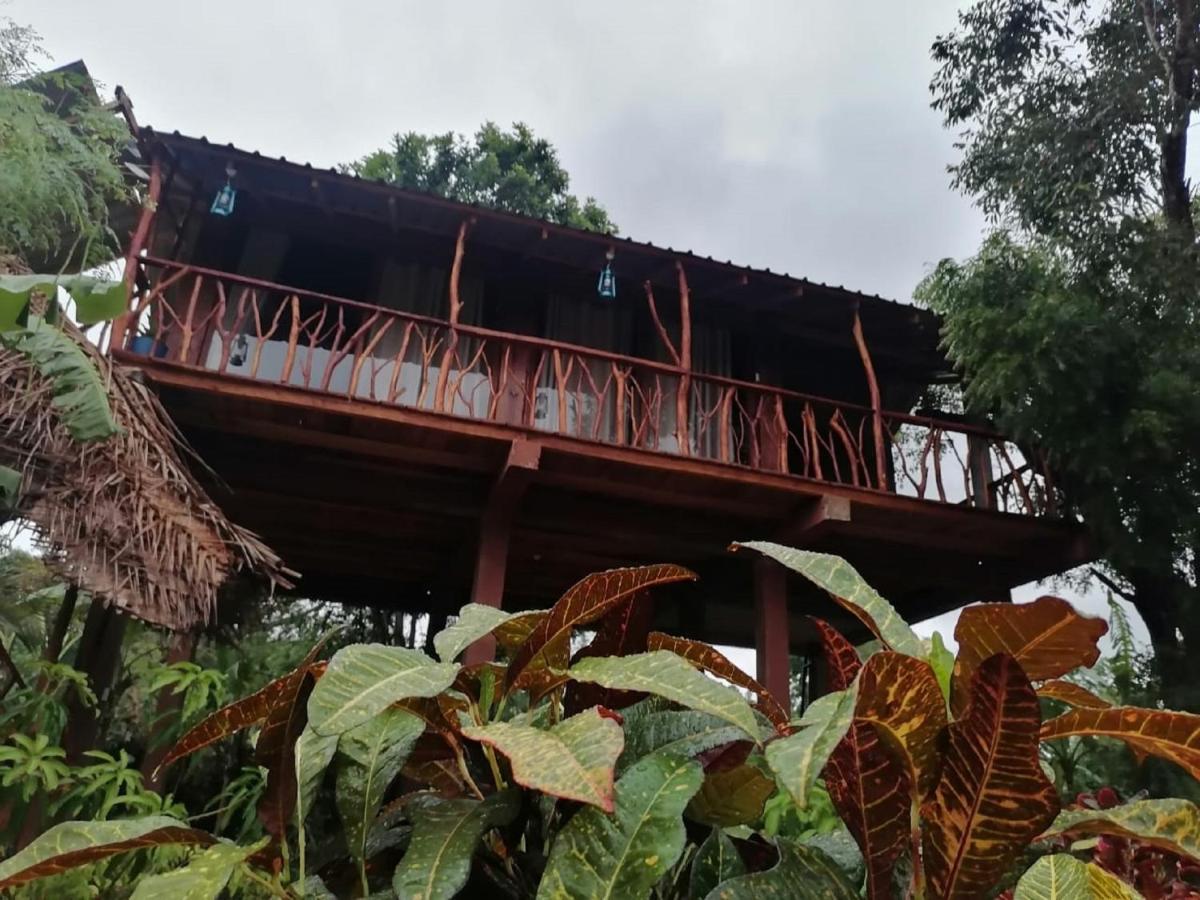 Sigiriya Rock View Tree house - B&B Sigiriya