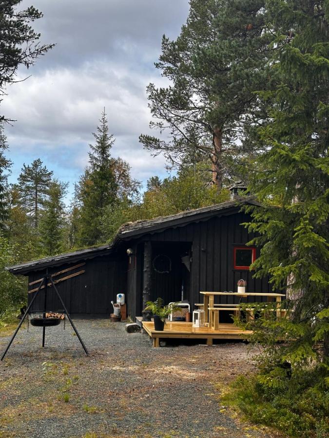 Hytta på Øyfjell med badestamp - B&B Trovatn