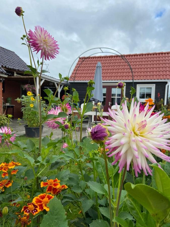 Bed en Brochje De Oase - Bed and Breakfast Sweagerbosk