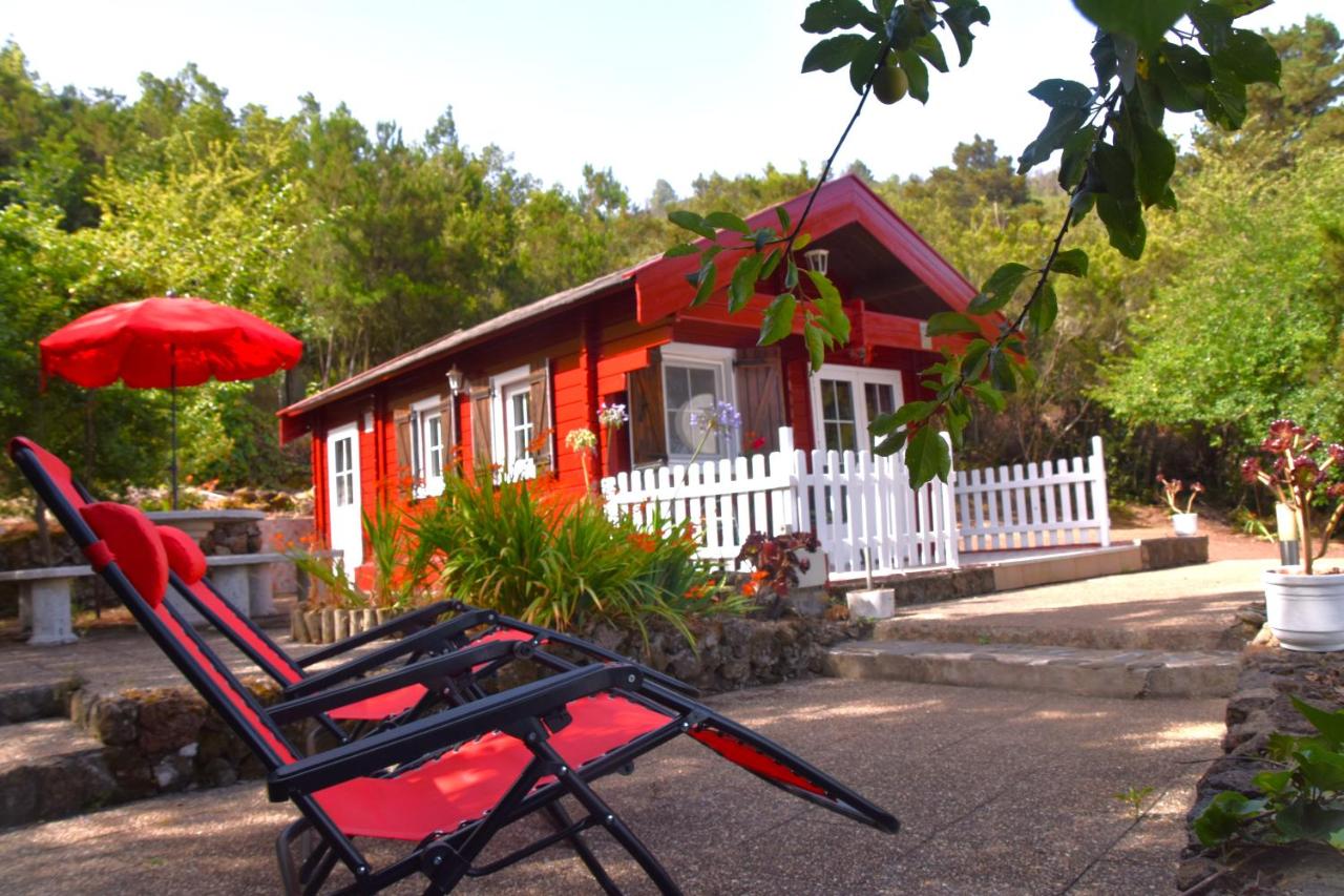 One-Bedroom House with Barbecue