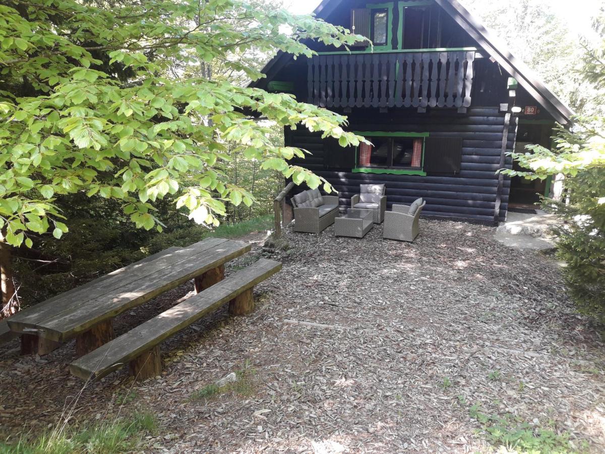 Brunarica Sova - Chalet Owl - Bed and Breakfast Žirovnica