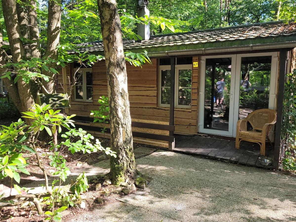 Corgi-Flowerhuisje - B&B