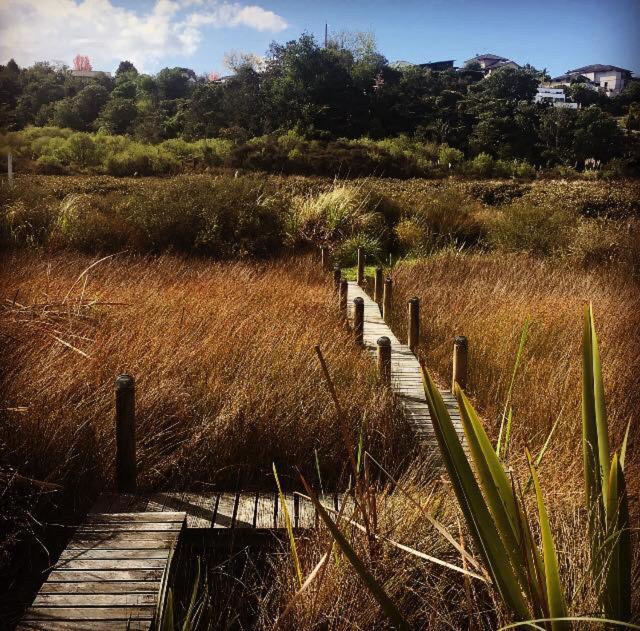 Uniqueness - B&B Tauranga