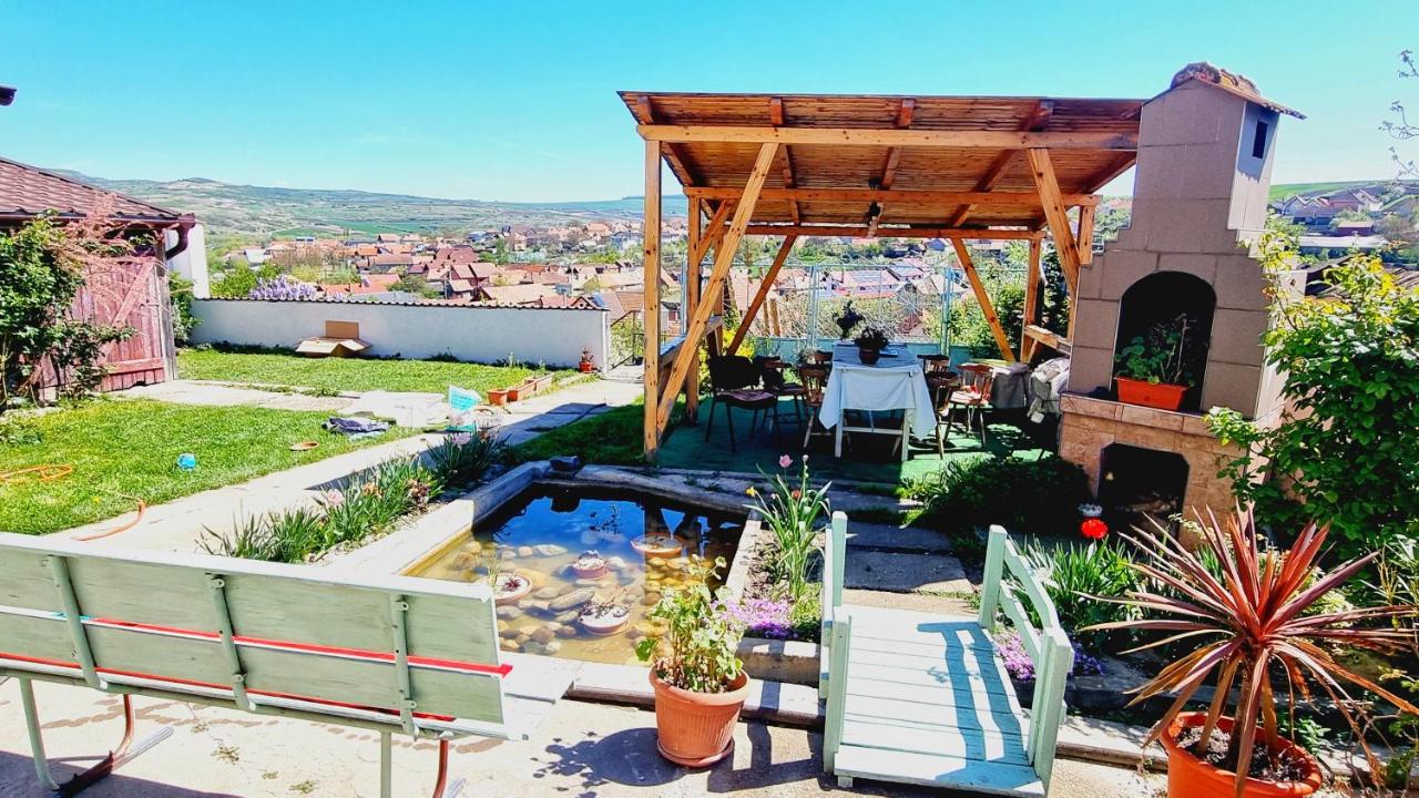 Ana House - B&B