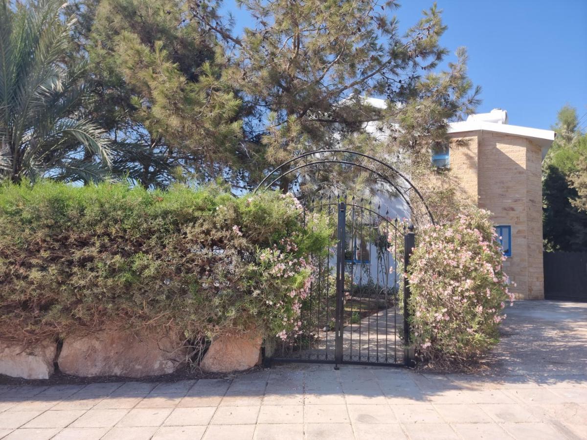 Olive Beach Villa - B&B