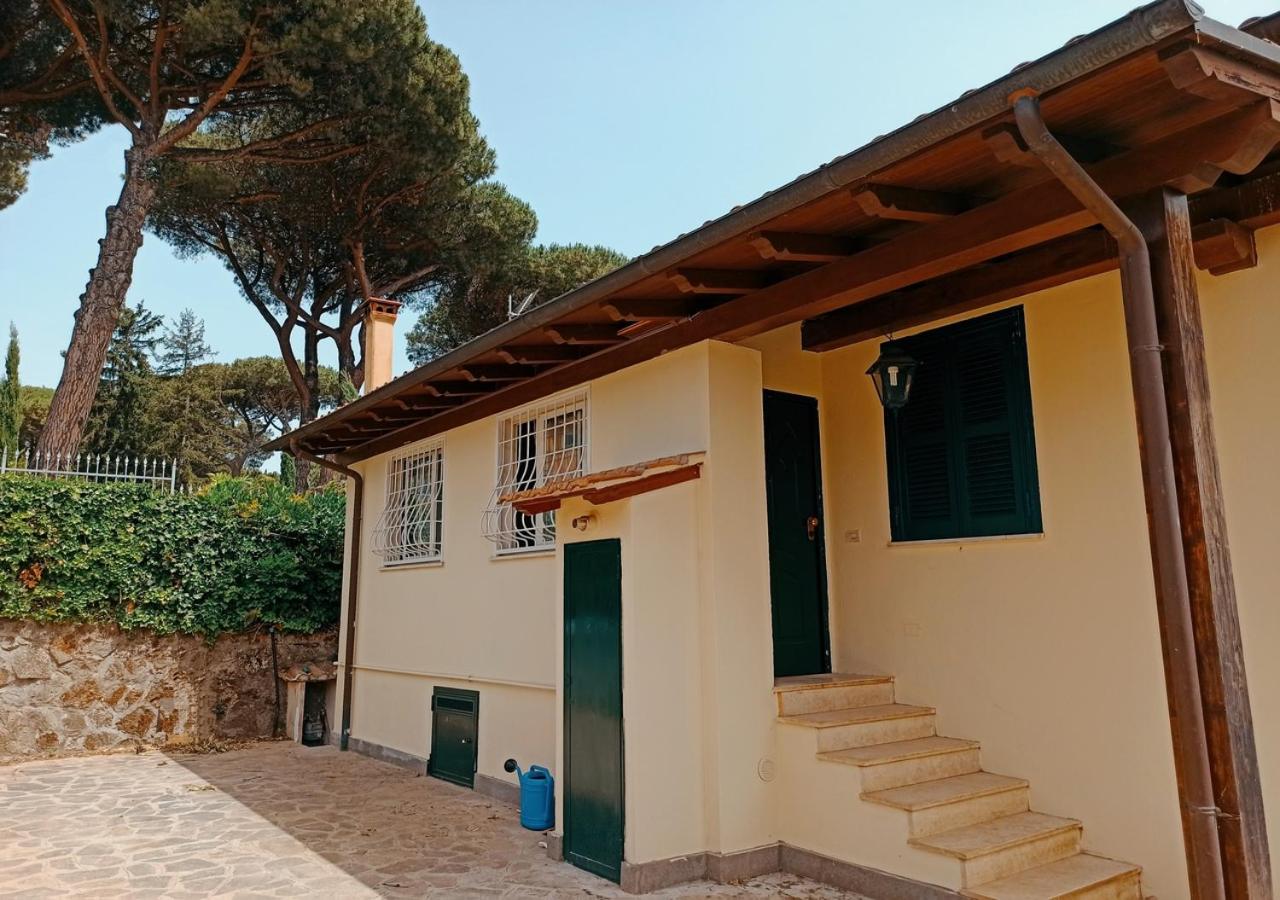 Villa Tusculum - Apartment - B&B Grottaferrata