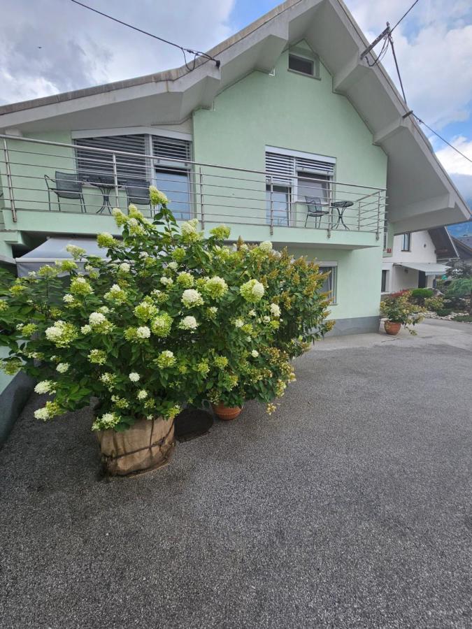Apartments Vesna - Bed and Breakfast