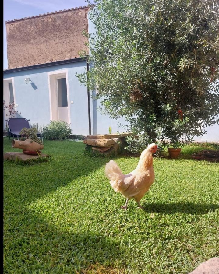 B&B Il Borgo delle Emozioni - B&B