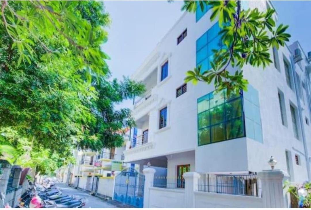 Breezy Homestay - B&B