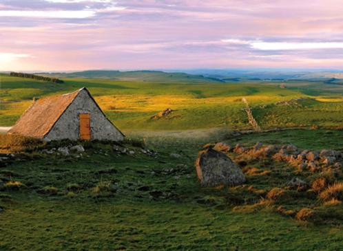 maison forêt d'Aubrac , au coeur de la nature - B&B
