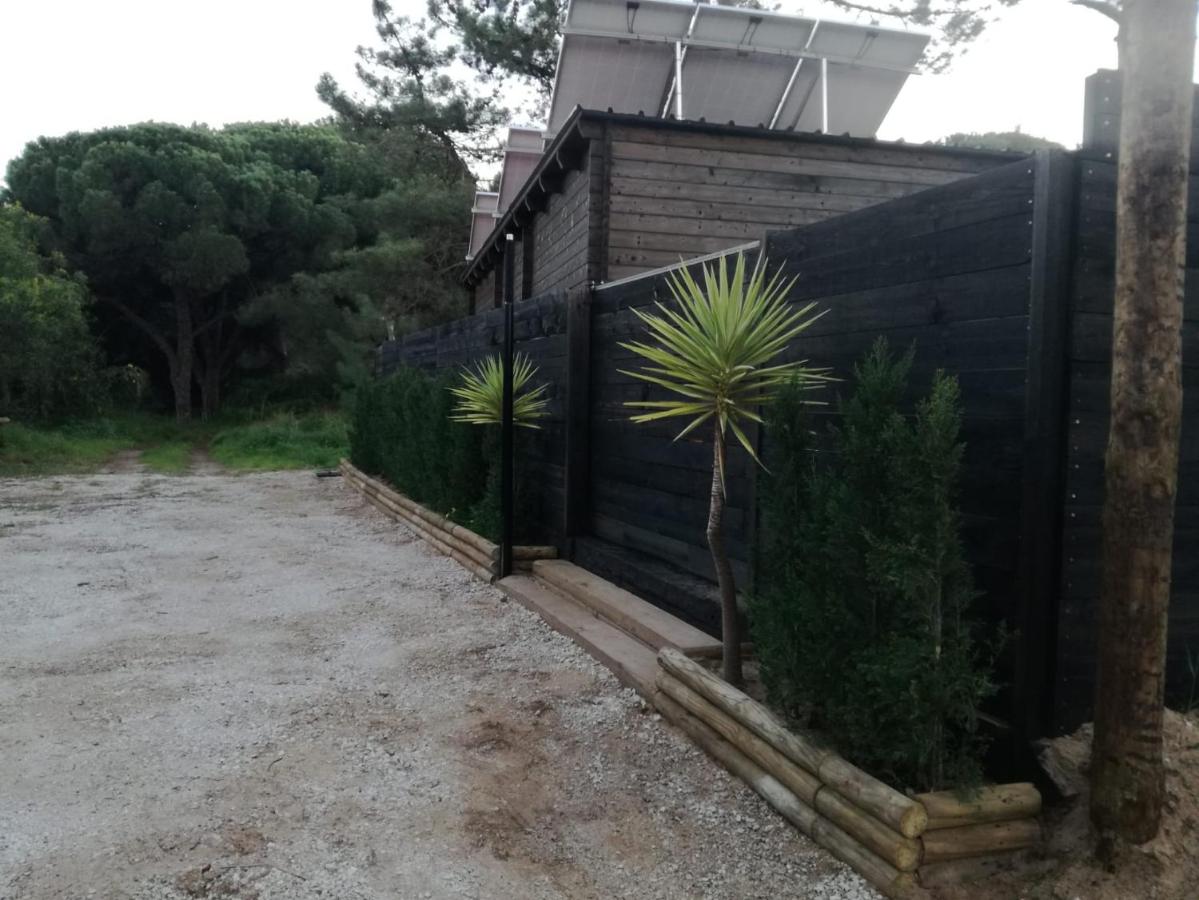 Surf Camp Ecológico - B&B Costa da Caparica