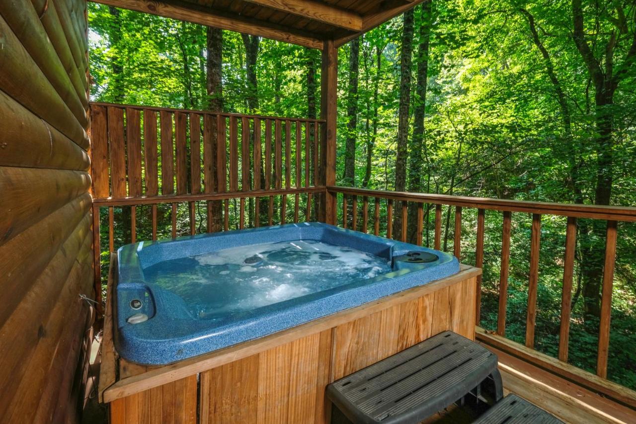 Beary Cozy - Chambres d’hôtes Pigeon Forge