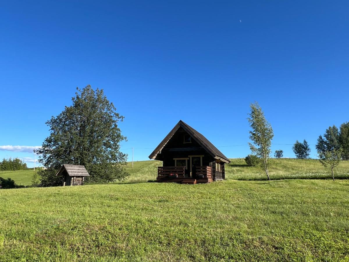 Lakeside cabin with saunas, hot-tub options - B&B Antsla