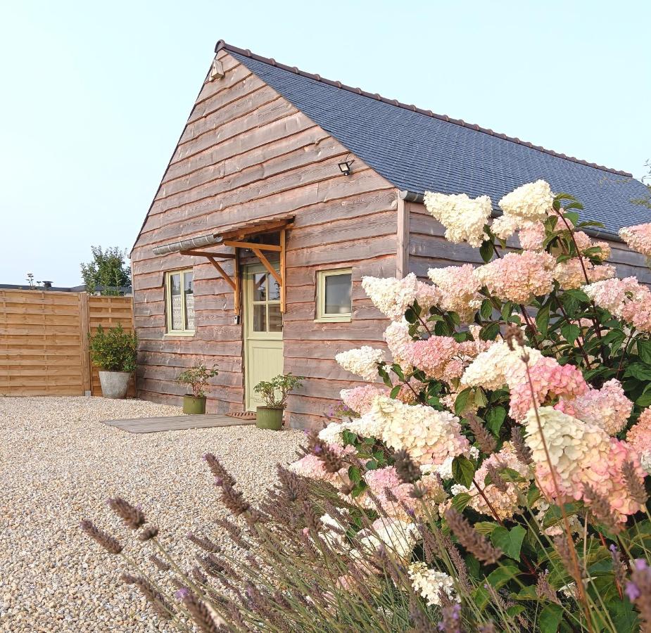 Charming Countryside Chalet - Chambres d’hôtes