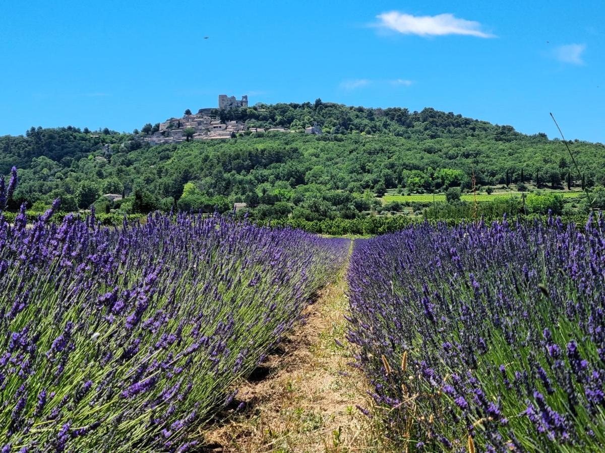 Mas Les Fabrys au coeur du Luberon - B&B Bonnieux