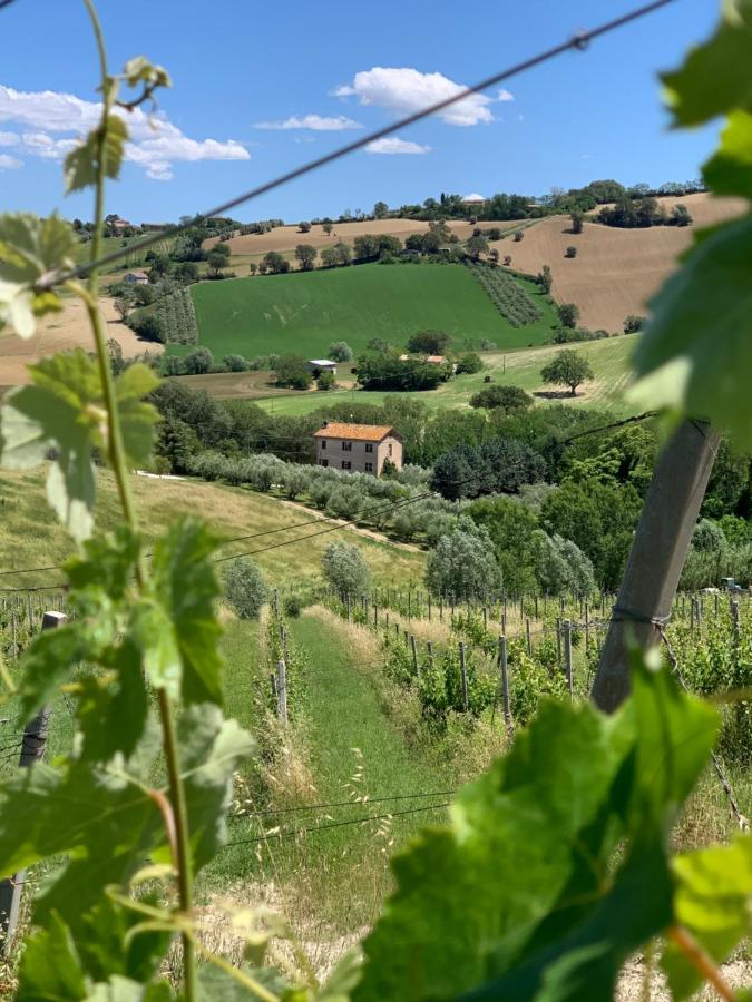 B&B Casa Contento - Bed and Breakfast Arcevia