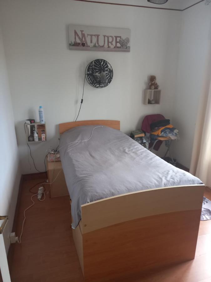 Le carré vert - Ferienwohnung
