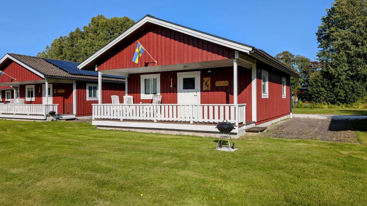Stor älg - B&B