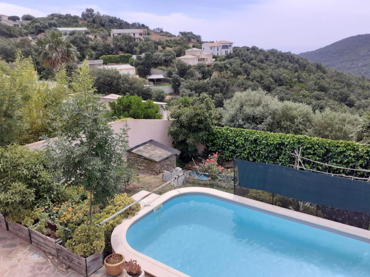 Chambre d'hôte partine cap Corse - B&B