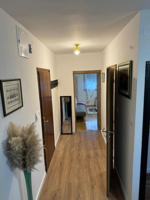 Apartman Willow - B&B