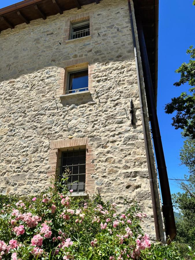 Oasi Acquafresca - B&B Monzuno